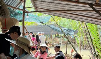 Tắc xuồng ba lá ở cồn Thới Sơn