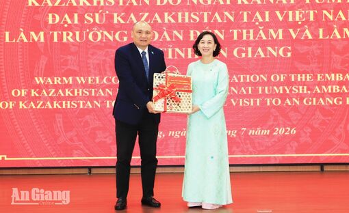 An Giang xúc tiến dự án tái chế phụ phẩm lúa gạo 325 triệu USD