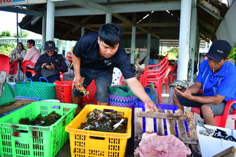 Cầu nối đưa sản vật biển vươn xa