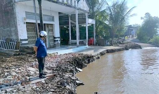 Liên tục xảy ra sạt lở đất ven sông Cà Mau