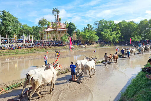 Chuyện đất, chuyện người Bảy Núi