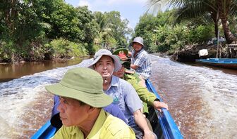 Canh rừng mùa nắng