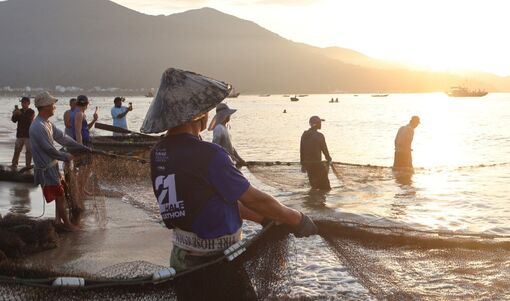 Du khách thích thú trải nghiệm kéo lưới "Đón nhịp chợ cá bình minh"