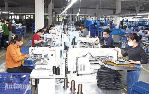 An Giang thu ngân sách 6 tháng tăng 18%, động lực từ kinh tế thực