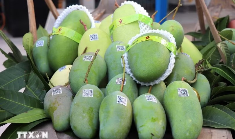 Bộ Công Thương sẽ thúc đẩy đối thoại với Hoa Kỳ sau kết luận thuế Mục 301