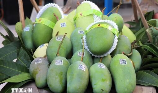 Bộ Công Thương sẽ thúc đẩy đối thoại với Hoa Kỳ sau kết luận thuế Mục 301
