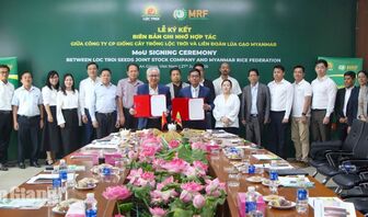 Lộc Trời Seeds bắt tay Liên đoàn Lúa gạo Myanmar phát triển chuỗi giá trị lúa gạo bền vững