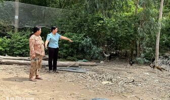 Những điểm tựa an sinh ở Hòa Điền