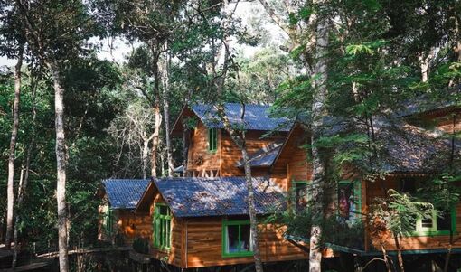 Khu nhà trên cây ở Măng Đen lọt vào đề cử Làng du lịch tốt nhất thế giới