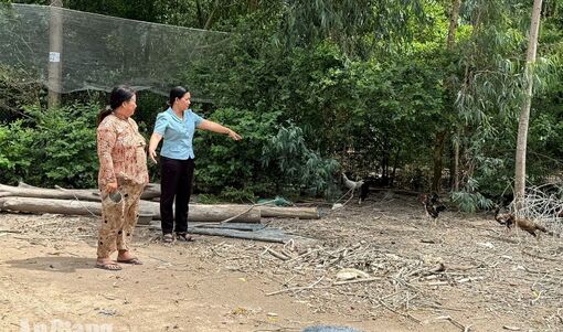Những điểm tựa an sinh ở Hòa Điền