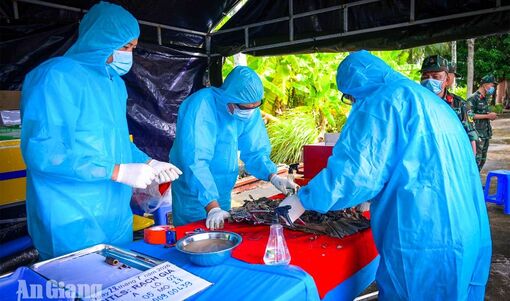 An Giang tăng tốc lấy mẫu ADN hài cốt liệt sĩ