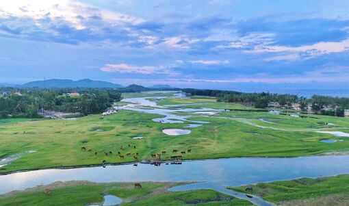 Đầm nước ngọt sát biển đẹp như tranh ở Quảng Ngãi