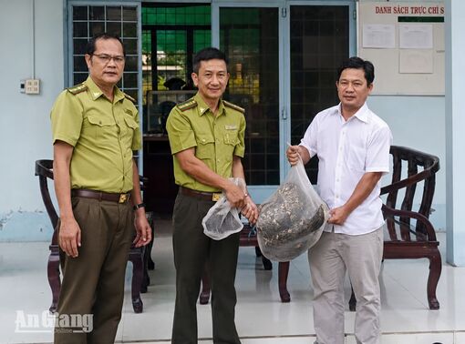 Người dân xã Tri Tôn tự nguyện giao nộp trăn gấm quý hiếm
