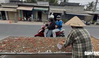 Hến phơi - Đặc sản miền Tây