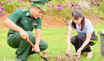 Phường Hà Tiên trồng 2.000 cây xanh