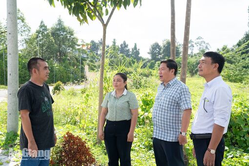 Hiệu quả “Dân vận khéo” ở xã Châu Phú