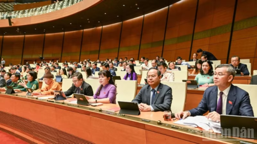 Trình Quốc hội cơ chế đặc thù xử lý vi phạm liên quan kinh tế Nhà nước, kinh tế tư nhân