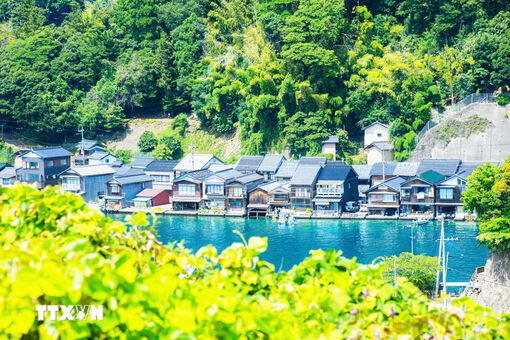 Làng chài Ine và Amanohashidate - nét đẹp bình yên của vùng biển Kyoto