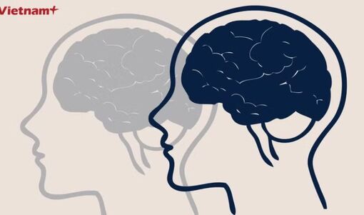 Phát triển mô hình AI giải mã “ngôn ngữ của não bộ”