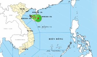 Thời tiết ngày 8/8: Áp thấp nhiệt đới gây biển động mạnh, Trung Bộ và Nam Bộ có mưa dông