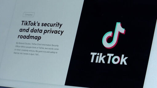 EU yêu cầu Meta, TikTok quyết liệt ngăn chặn tin giả