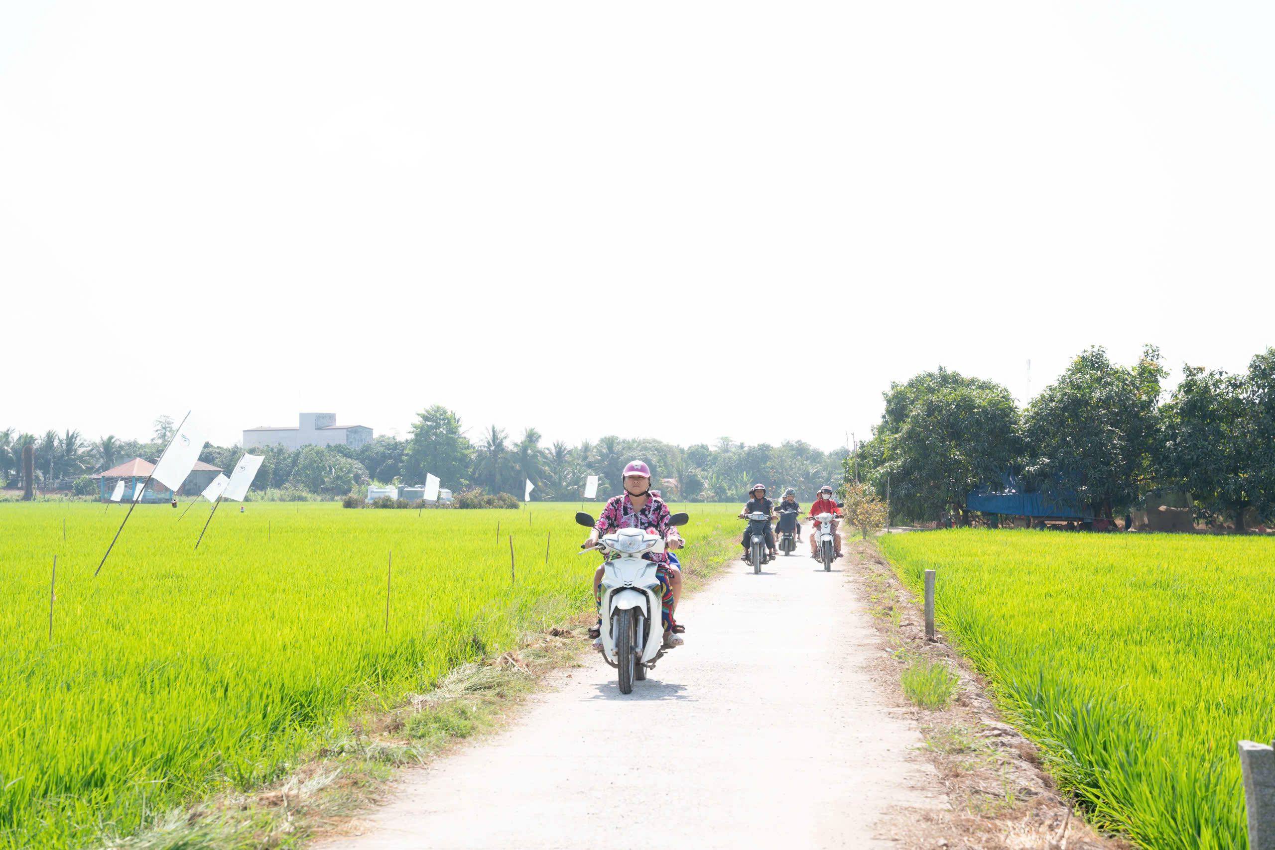 Trên quê hương Mỹ Hoà Hưng. Ảnh: LÊ TRUNG HIẾU