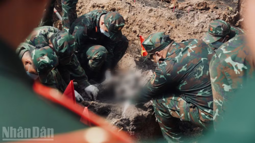 245 bộ hài cốt liệt sĩ đã được quy tập tại Công viên Lê Thị Riêng