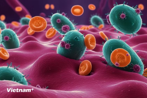 Trí tuệ nhân tạo tạo virus mới tiêu diệt vi khuẩn kháng thuốc