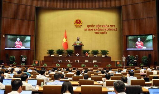 Ngày 10/8, Quốc hội tiếp tục thảo luận các dự án luật