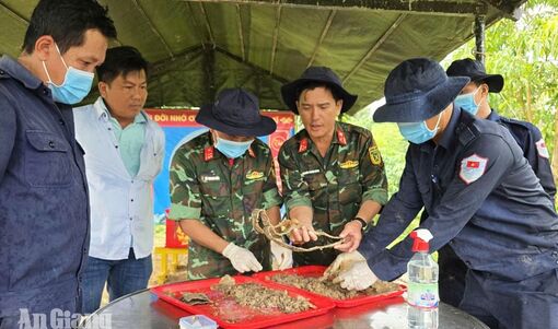 Tiếp nối hành trình tri ân