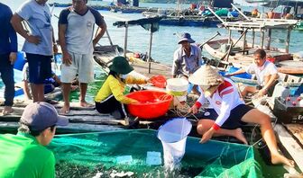 Ngư dân Tiên Hải bám biển