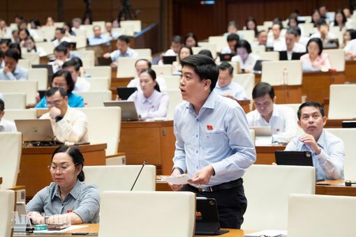 Đại biểu An Giang đề nghị cơ chế hỗ trợ lực lượng phòng, chống tội phạm