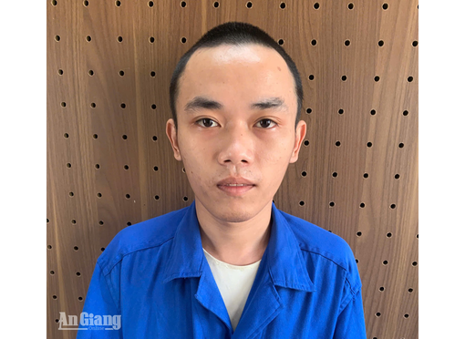 Khởi tố người tàng trữ trái phép súng và đạn ở An Giang