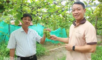 Sức bật mới trên quê hương Bác Tôn