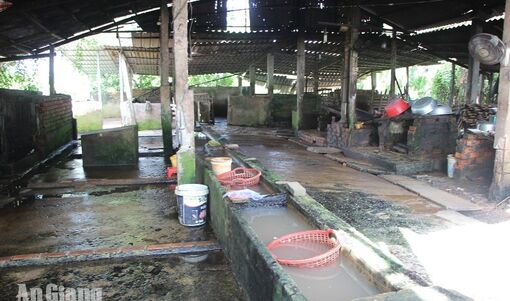 Chấm dứt hoạt động cơ sở giết mổ gây ô nhiễm môi trường tại xã Hội An