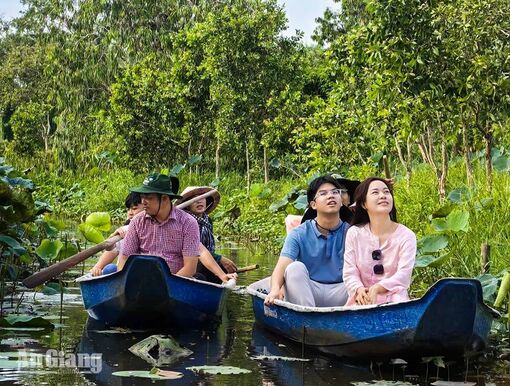 Trải nghiệm đi xuồng trong rừng tràm An Giang