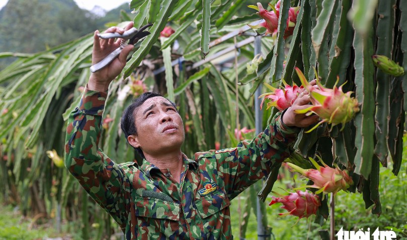 EU sắp siết dư lượng nhiều thuốc bảo vệ thực vật, nông dân, doanh nghiệp xuất khẩu nông sản cần lưu ý gì?1