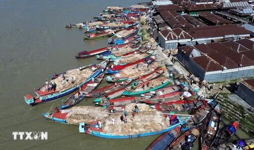 Những hình ảnh đặc sắc từ chợ đay truyền thống ở Bangladesh