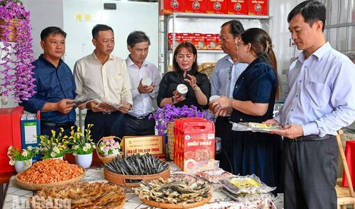 Định hướng phát triển du lịch sinh thái, lịch sử tại U Minh Thượng và Vĩnh Phong