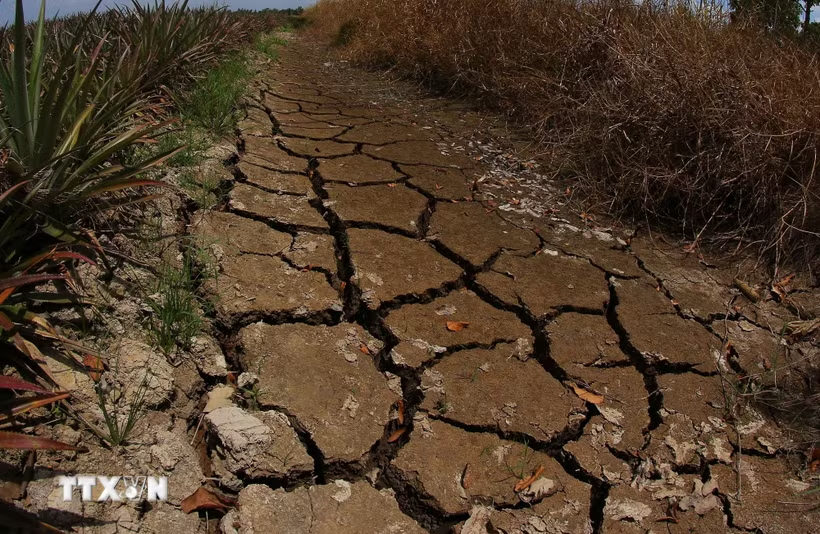 Bộ Nông nghiệp và Môi trường yêu cầu chủ động ứng phó El Nino 2026-2027