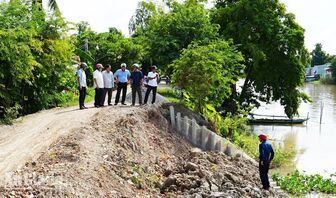 An Giang chủ động bảo vệ lúa thu đông