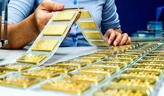 Giá vàng hôm nay, 19/8: Vàng nhẫn tăng, giảm tùy từng thương hiệu