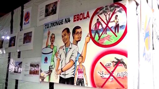 Hơn 2.300 người thiệt mạng trong đợt dịch Ebola tại Congo