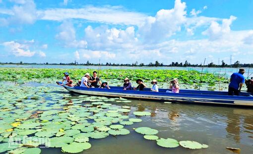 Khai thác sản phẩm du lịch mùa nước nổi