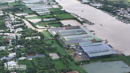 Về Cù lao Ông Hổ, nhớ một người con quê hương