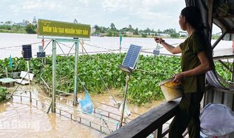 Nỗ lực bảo vệ và tái tạo đàn cá tự nhiên ở Phú Hữu