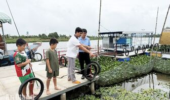 Bỏ việc ở bệnh viện, về quê làm du lịch sinh thái