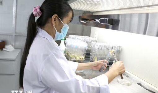 Vĩnh Long tạo sức bật cho hệ sinh thái đổi mới sáng tạo, khoa học, công nghệ