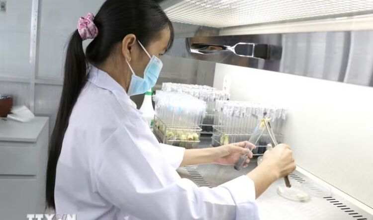Vĩnh Long tạo sức bật cho hệ sinh thái đổi mới sáng tạo, khoa học, công nghệ