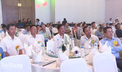 Bình Điền: 30 năm đưa khoa học vào đồng ruộng